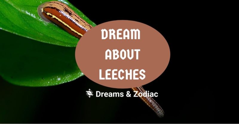 dream about leeches