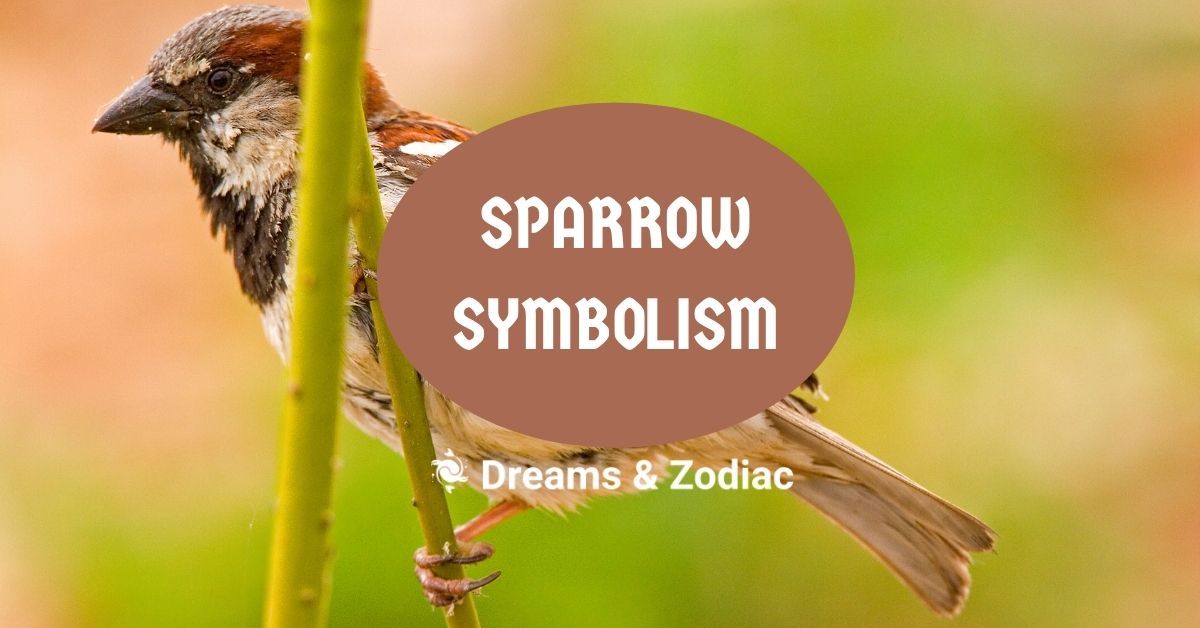 sparrow symbolism