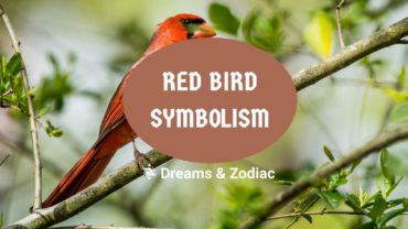 red bird symbolism