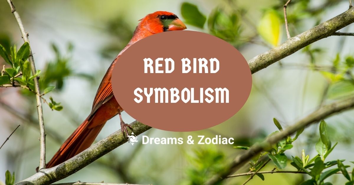 red bird symbolism