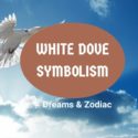 white dove symbolism