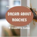 dream about roaches