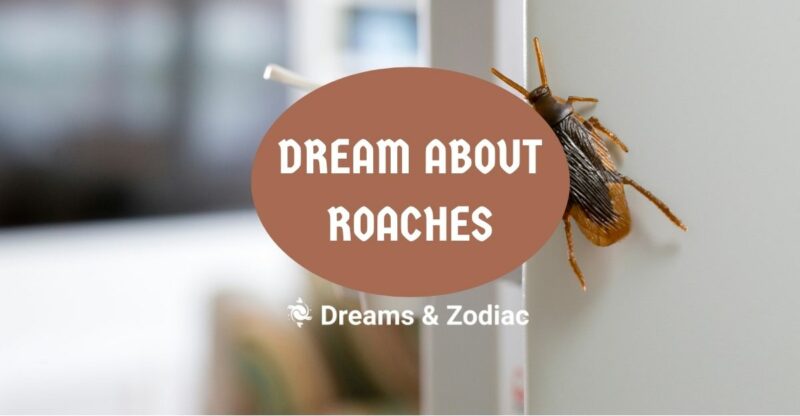 dream about roaches