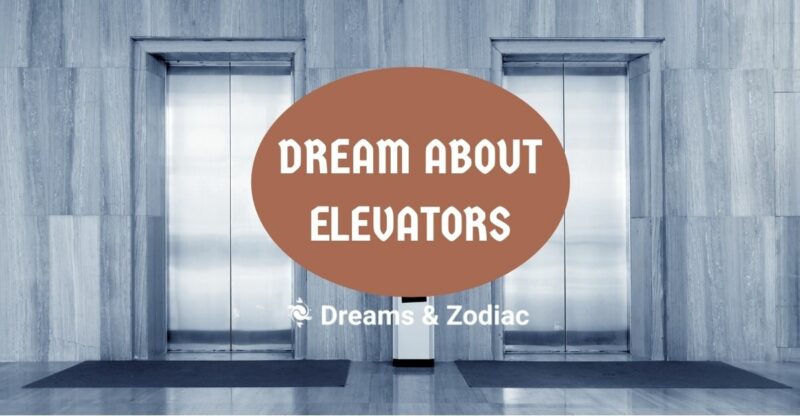 dream about elevators