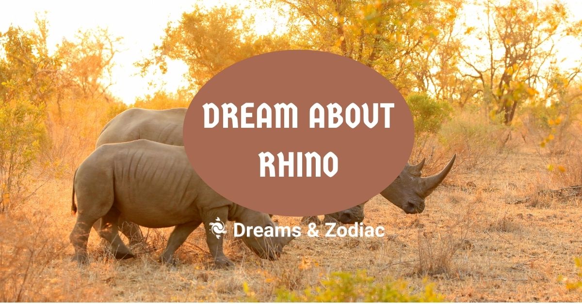 dream about rhino