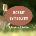 rabbit symbolism