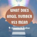 what does angel number 953 mean