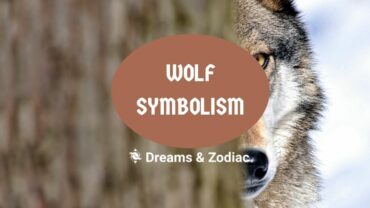 wolf symbolism