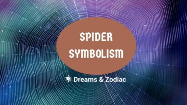 spider symbolism